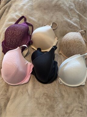 Women’s Seamless T-Shirt Bra - Black, Pink, White, Beige, Burgundy Options